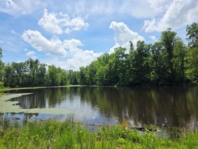 (private lake, pond, creek) Acreage Sale Pending in Cullen Virginia