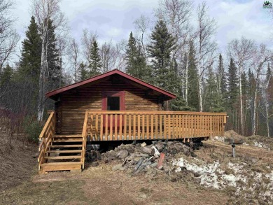Lake Home For Sale in Salcha, Alaska