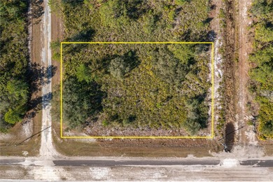 Lake Weohyakapka Lot For Sale in Indian Lake Estates Florida