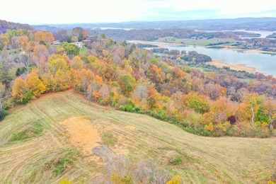 2.7 Acres of Breathtaking Cherokee Lake Views. This gorgeous - photo 11
