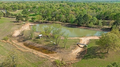 Extraordinary 59 acre turnkey Ranch and possible income property - photo 34