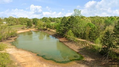 Extraordinary 59 acre turnkey Ranch and possible income property - photo 35