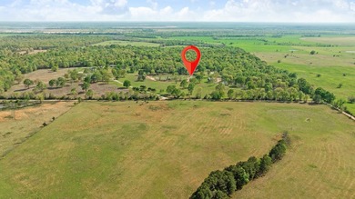 Extraordinary 59 acre turnkey Ranch and possible income property - photo 37