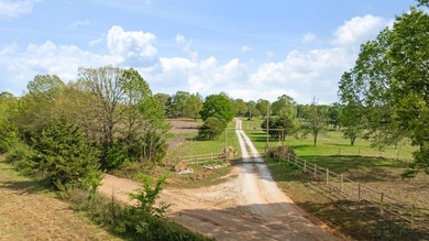 Extraordinary 59 acre turnkey Ranch and possible income property - photo 39