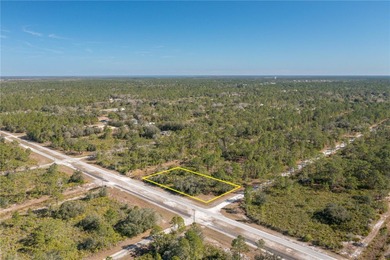 Lake Weohyakapka Lot For Sale in Indian Lake Estates Florida