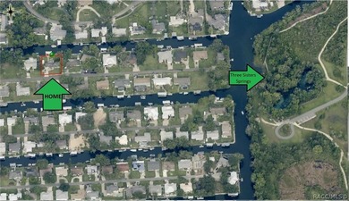 Escape to your own private oasis in paradise where waterfront - photo 49