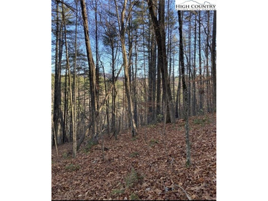 (private lake, pond, coastal) Acreage For Sale in Newland North Carolina
