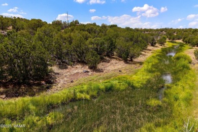 Lake Lot For Sale in Show Low, Arizona