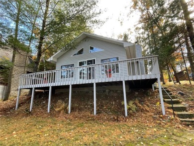 Big Trout Lake Home For Sale in Crosslake Minnesota