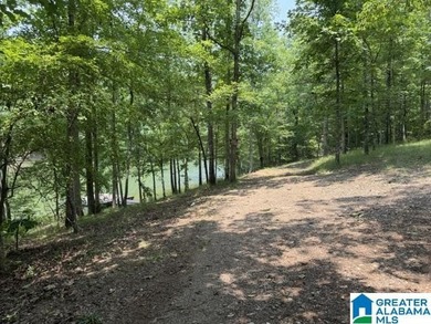 INTERESTING PROPERTY LOCATED ON TRIPLETT CREEK BELOW THE 48 - photo 2