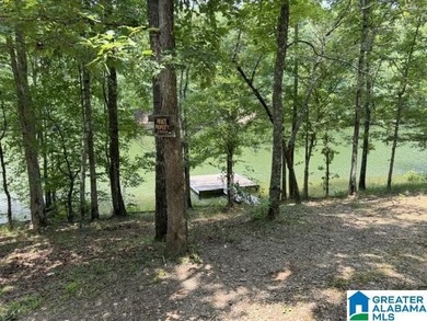 INTERESTING PROPERTY LOCATED ON TRIPLETT CREEK BELOW THE 48 - photo 3