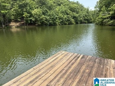 INTERESTING PROPERTY LOCATED ON TRIPLETT CREEK BELOW THE 48 - photo 4