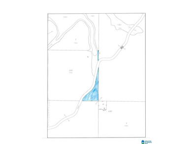 INTERESTING PROPERTY LOCATED ON TRIPLETT CREEK BELOW THE 48 - photo 6