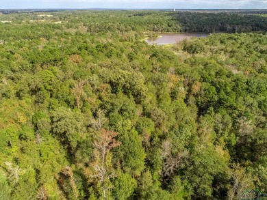 Glenwood Acres West Lake Acreage For Sale in Gilmer Texas