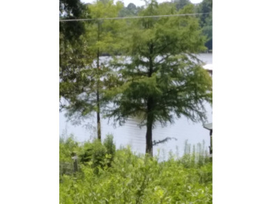 Lake Blackshear Lot For Sale in Cordele Georgia