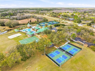Maintenance-Free Living in the Heart of New Tampa - Doves - photo 31