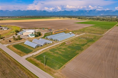 Flathead River Acreage For Sale in Kalispell Montana