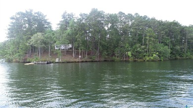 ONE OF A KIND POINT LOT ON BEAUTIFUL LAKR WEDOWEE. THIS PROPERTY - photo 1