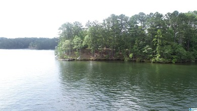 ONE OF A KIND POINT LOT ON BEAUTIFUL LAKR WEDOWEE. THIS PROPERTY - photo 2