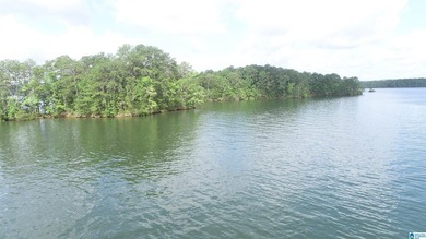ONE OF A KIND POINT LOT ON BEAUTIFUL LAKR WEDOWEE. THIS PROPERTY - photo 3