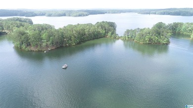 ONE OF A KIND POINT LOT ON BEAUTIFUL LAKR WEDOWEE. THIS PROPERTY - photo 4