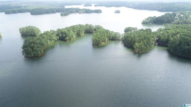 ONE OF A KIND POINT LOT ON BEAUTIFUL LAKR WEDOWEE. THIS PROPERTY - photo 5