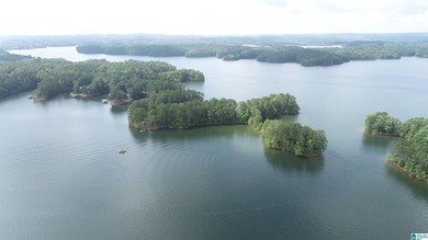 ONE OF A KIND POINT LOT ON BEAUTIFUL LAKR WEDOWEE. THIS PROPERTY - photo 6