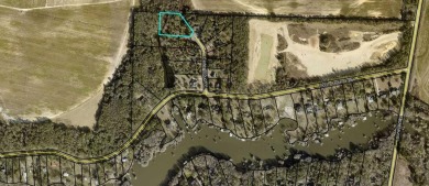 Lake Blackshear Lot For Sale in Cordele Georgia
