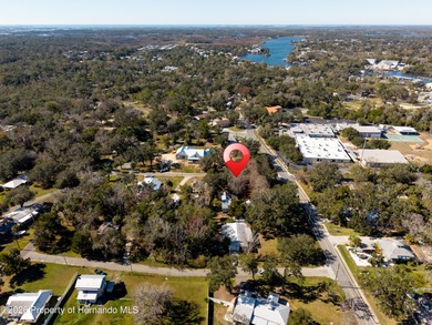 Riverworks Property is a rare and unique Old Homosassa compound - photo 5