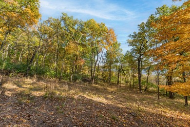 Build Your Dream Lakefront Home! Your perfect waterfront retreat - photo 8