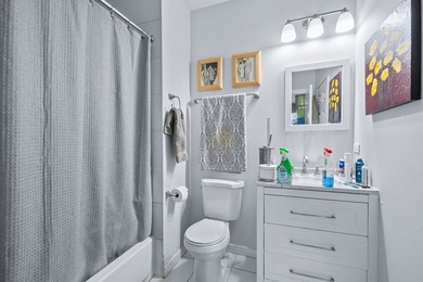 Beautiful East Rogers Park Brick 6 Unit investment opportunity - photo 12