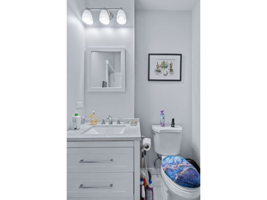 Beautiful East Rogers Park Brick 6 Unit investment opportunity - photo 19