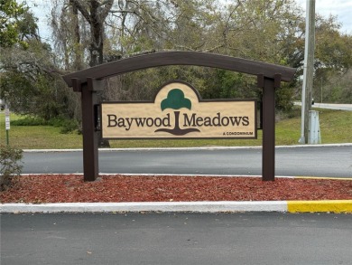 (private lake, pond, creek) Condo For Sale in New Port Richey Florida