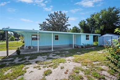Recently revamped and situated on approximately half an acre - photo 28