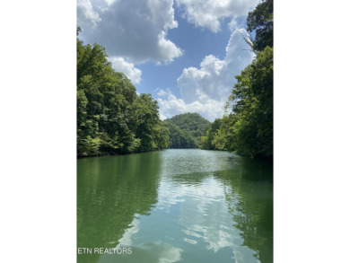 Norris Lake Acreage For Sale in New Tazewell Tennessee