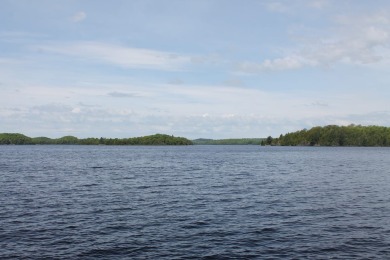 Lake Michigamme Acreage For Sale in Champion Michigan