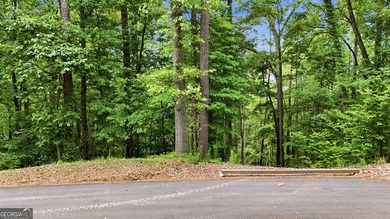 Discover the perfect opportunity to build your dream home on - photo 11