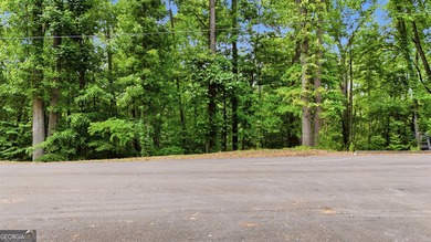 Discover the perfect opportunity to build your dream home on - photo 12