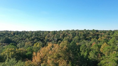 Absolutely gorgeous and brimming with natural beauty, this 9.19 - photo 2