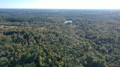 Absolutely gorgeous and brimming with natural beauty, this 9.19 - photo 3