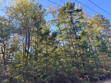 Absolutely gorgeous and brimming with natural beauty, this 9.19 - photo 4