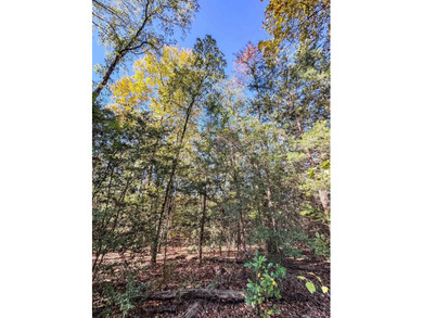 Absolutely gorgeous and brimming with natural beauty, this 9.19 - photo 8
