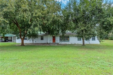 (private lake, pond, coastal) Home For Sale in Blackshear Georgia