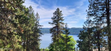 (private lake, pond, creek) Lot For Sale in Harrison Idaho