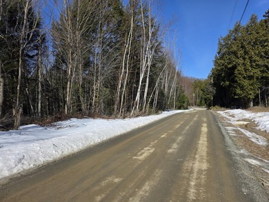 This property includes 2 surveyed lots with a new 3 bedroom - photo 12