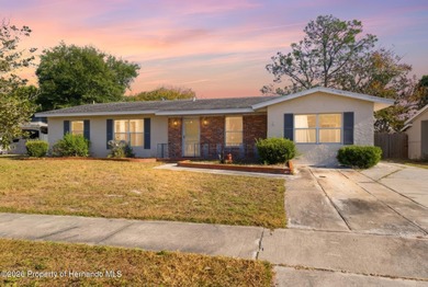 Hunters Lake  Home For Sale in Spring Hill Florida