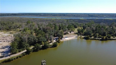 Lake Acreage For Sale in Brunswick, Georgia