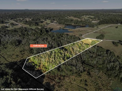 (private lake, pond, creek) Acreage For Sale in Big Sandy Texas