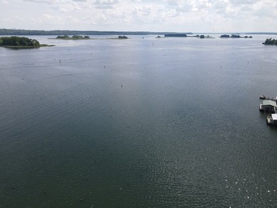 Located on the beautiful big water of Lake Seminole, this 3 - photo 11