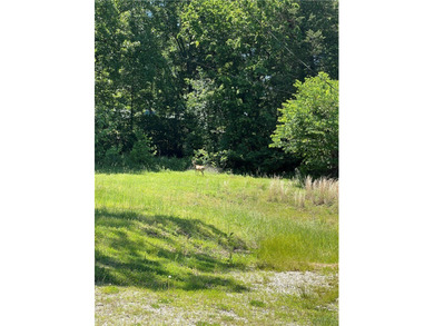 Charming 3-Bedroom home on 3 Acres - Lake Sequoyah Area! Nestled - photo 24